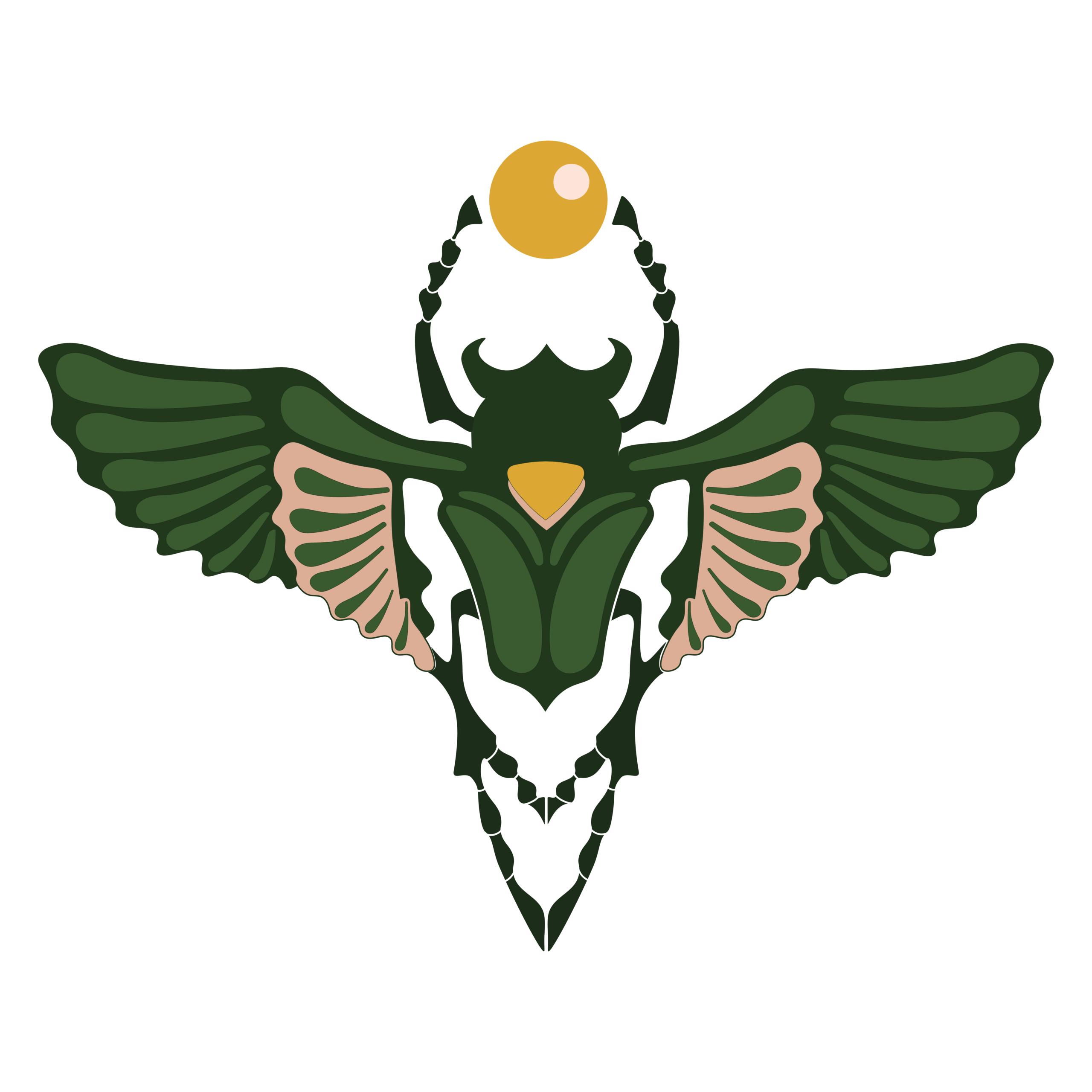 Beetle's Needles Collective